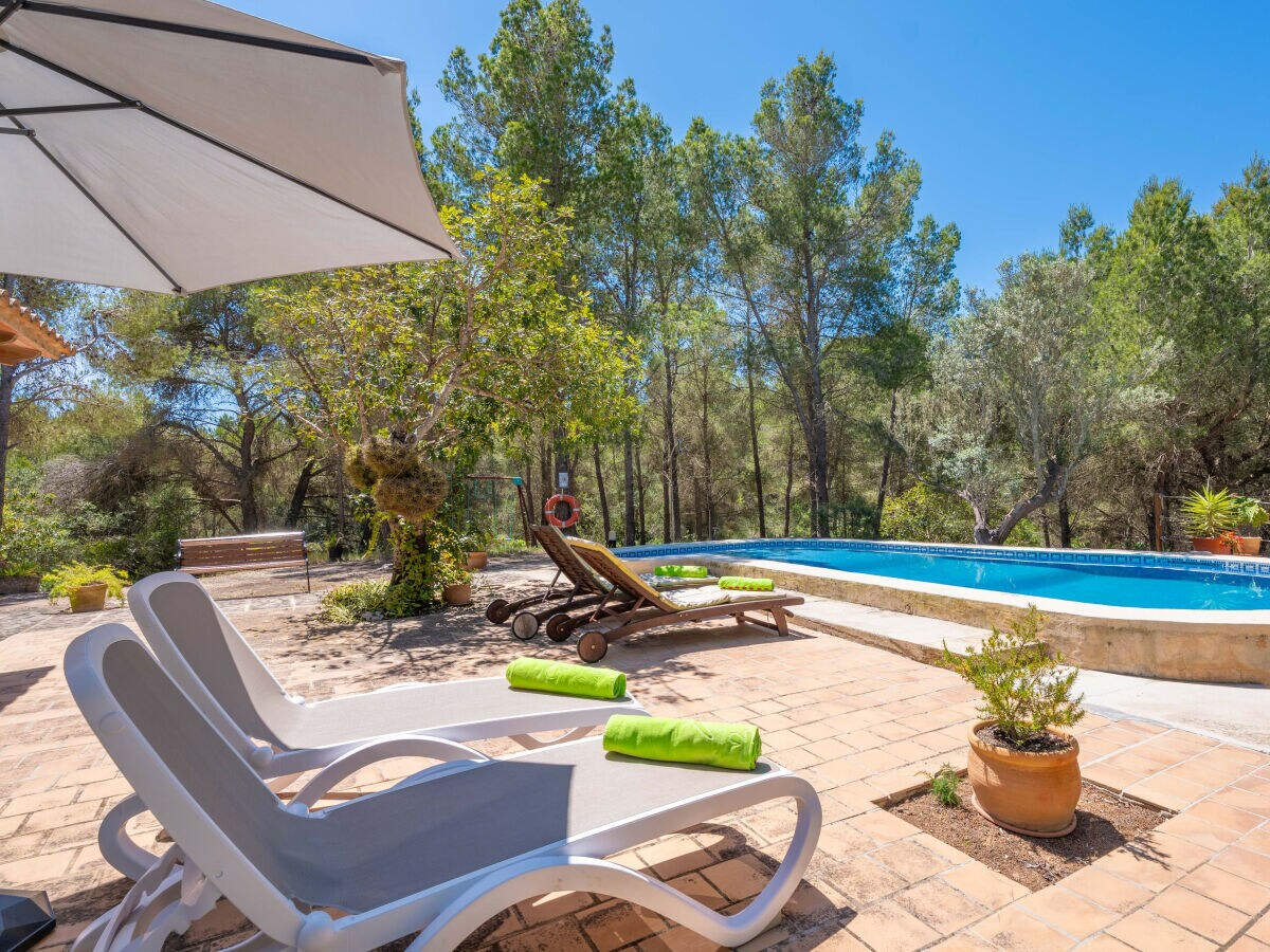 Finca Casa Mas - Features photo 4