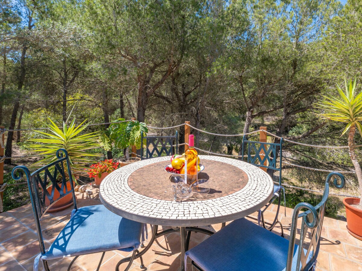 Finca Casa Mas - Features photo 5