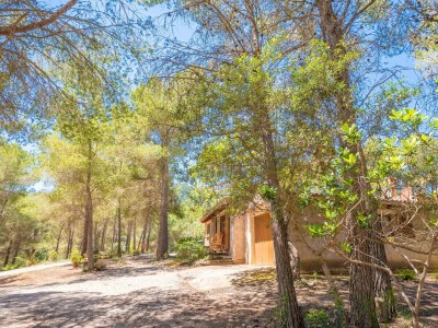 Finca Casa Mas - Outdoor photo 37