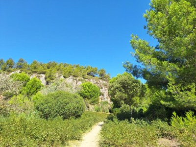 Holiday house Coquelicot Mohnblume - Outdoor photo 18