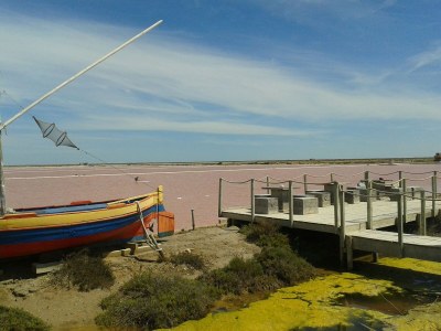 Holiday house Coquelicot Mohnblume - Environment photo 33