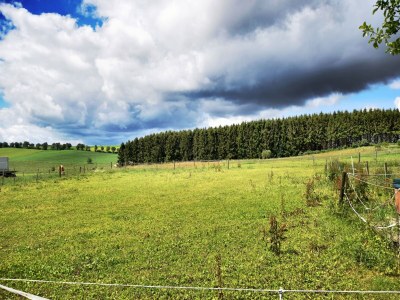 Holiday house Holiday Home in St.Vith with hot tub - Outdoor photo 8