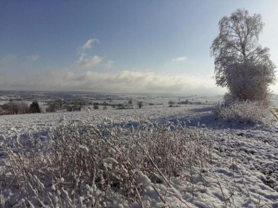 Holiday house Holiday Home in St.Vith with hot tub - Environment photo 32