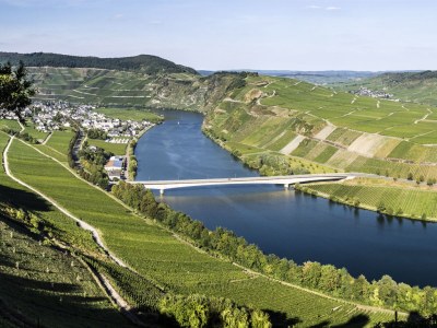 Holiday apartment Moselsteig (EG) im Ferienhaus Weitblick - Outdoor photo 2