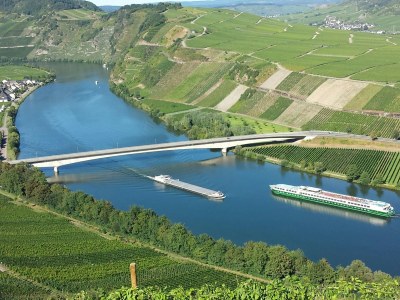 Holiday apartment Moselsteig (EG) im Ferienhaus Weitblick - Outdoor photo 6