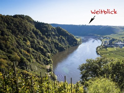 Holiday apartment Moselsteig (EG) im Ferienhaus Weitblick - Environment photo 15