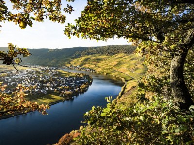 Holiday apartment Moselsteig (EG) im Ferienhaus Weitblick - Environment photo 17