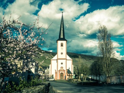 Holiday apartment Moselsteig (EG) im Ferienhaus Weitblick - Environment photo 18