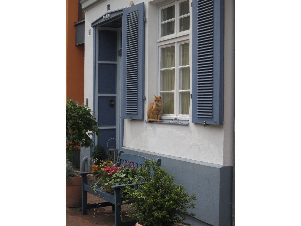 Apartment Hof-Idyll Apartments - Outdoor photo 5