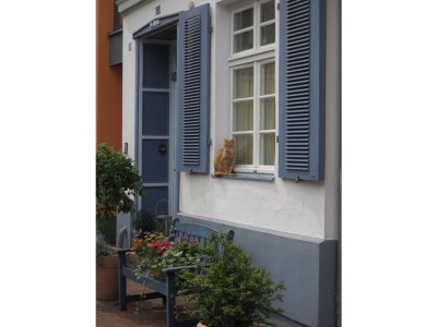 Apartment Hof-Idyll Apartments - Outdoor photo 5