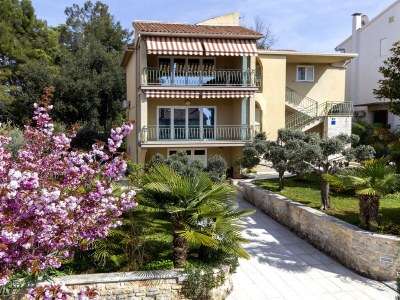 Holiday apartment Sasa - Outdoor photo 7