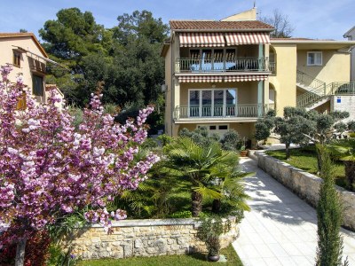 Holiday apartment Sasa - Environment photo 23