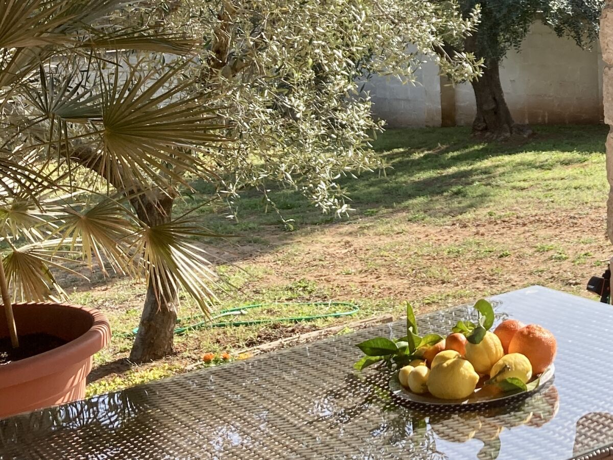 Holiday house - No title - - Outdoor photo 5