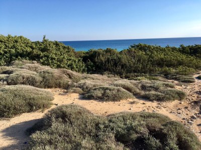 Holiday house - No title - - Environment photo 27