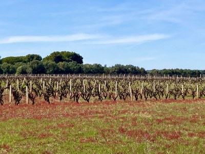 Holiday house - No title - - Environment photo 33