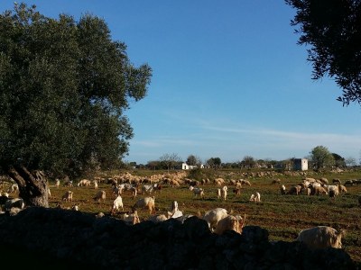 Holiday house - No title - - Environment photo 34