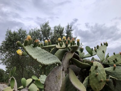 Holiday house - No title - - Environment photo 35