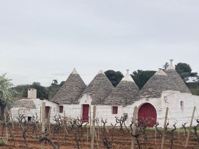 Holiday house - No title - - Environment photo 36