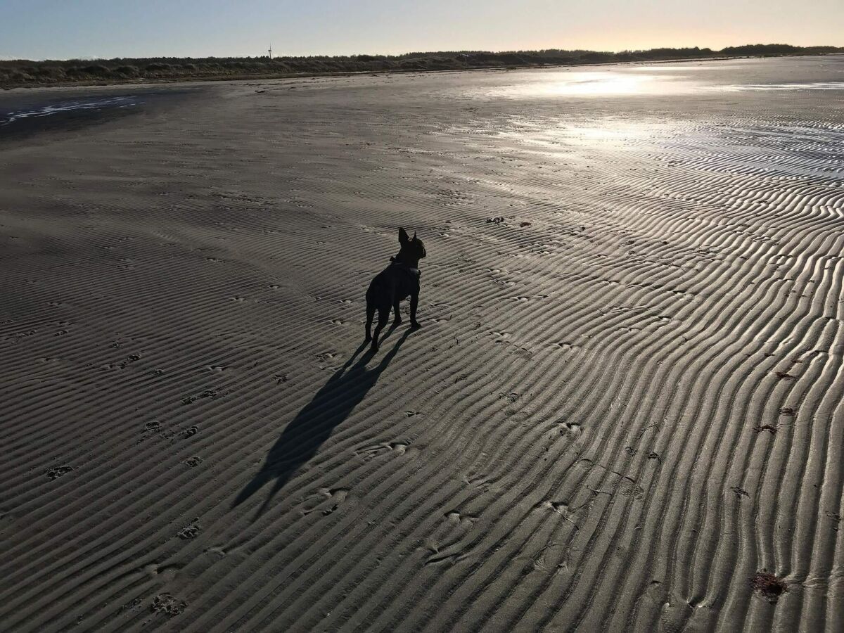 Holiday house 4 Personen Ferienhaus in Læsø-By Traum - Outdoor photo 4