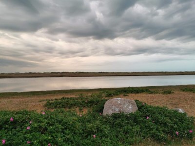 Holiday house 4 Personen Ferienhaus in Læsø-By Traum - Outdoor photo 23