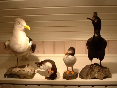 Holiday house 6 Personen Ferienhaus in Kalvåg-By Traum - Outdoor photo 9