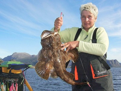 Holiday house 8 Personen Ferienhaus in Kalvåg-By Traum - Outdoor photo 9