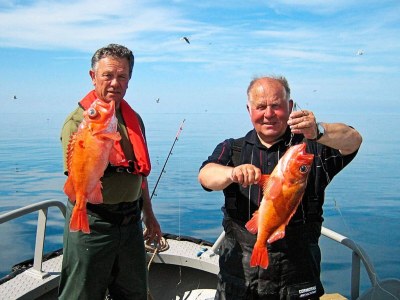 Holiday house 6 person holiday home in Oksvoll-By Traum - Outdoor photo 8