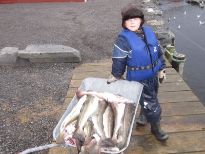 Holiday house 6 person holiday home in Oksvoll-By Traum - Outdoor photo 14