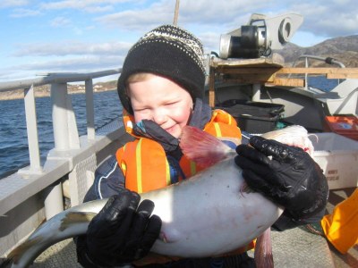 Holiday house 6 person holiday home in Oksvoll-By Traum - Outdoor photo 18