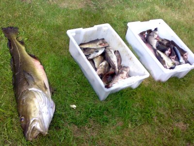 Holiday house 10 Personen Ferienhaus in Follafoss-By Traum - Outdoor photo 6