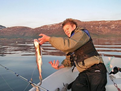 Holiday house 10 Personen Ferienhaus in Follafoss-By Traum - Outdoor photo 16