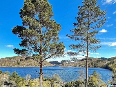 Holiday house 5 person holiday home in FARSUND-By Traum - Outdoor photo 8