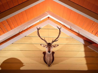 Holiday house 8 person holiday home in Liabygda-By Traum - Outdoor photo 31