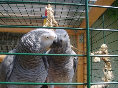 Holiday apartment Heyne - Environment photo 10