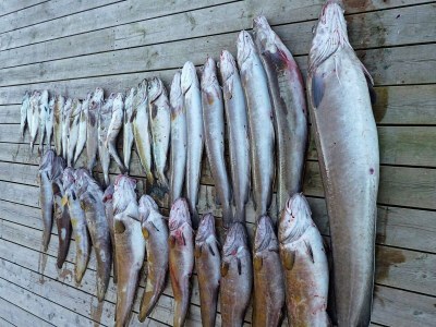 Holiday house 8 Personen Ferienhaus in Urangsvåg - Outdoor photo 30