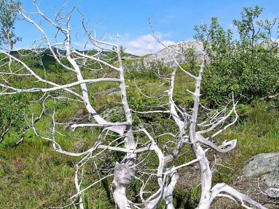 Holiday house 6 person holiday home in Inndyr - Outdoor photo 22