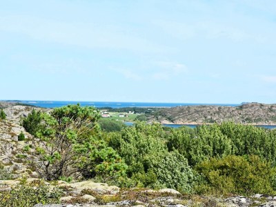 Holiday house 5 person holiday home in Oksvoll - Outdoor photo 10