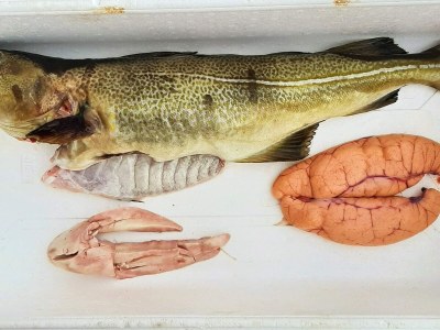 Holiday house 11 Personen Ferienhaus in Syvde - Outdoor photo 16