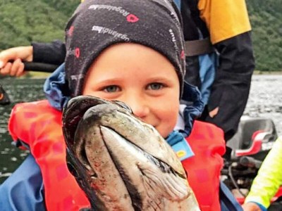 Holiday house 11 Personen Ferienhaus in Syvde - Outdoor photo 29