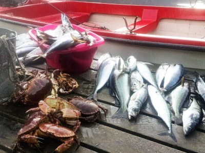 Holiday house 11 Personen Ferienhaus in Syvde - Outdoor photo 44