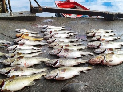 Holiday house 11 Personen Ferienhaus in Syvde - Outdoor photo 45