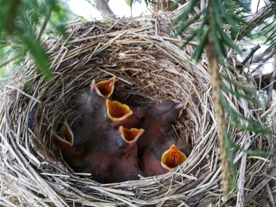 Holiday house 11 Personen Ferienhaus in Syvde - Outdoor photo 47