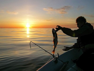 Holiday house 10 person holiday home in Laukvik - Outdoor photo 12