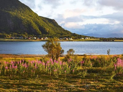 Holiday house 10 person holiday home in Laukvik - Outdoor photo 26