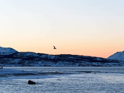 Holiday house 6 Personen Ferienhaus in Nord-Lenangen - Outdoor photo 19