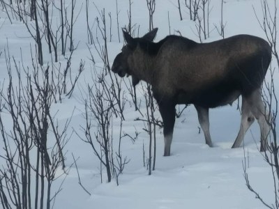 Apartment 5 person holiday home in Digermulen - Outdoor photo 25