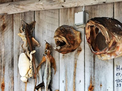 Holiday house 5 Personen Ferienhaus in VÅGLAND - Outdoor photo 16