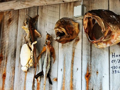 Holiday house 5 Personen Ferienhaus in VÅGLAND - Outdoor photo 36