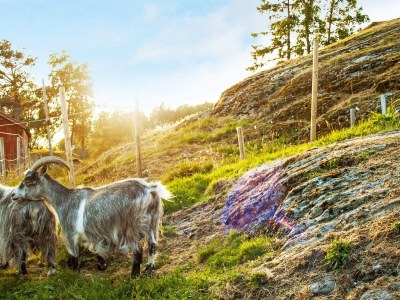 Holiday house 5 Personen Ferienhaus in VÅGLAND - Outdoor photo 9