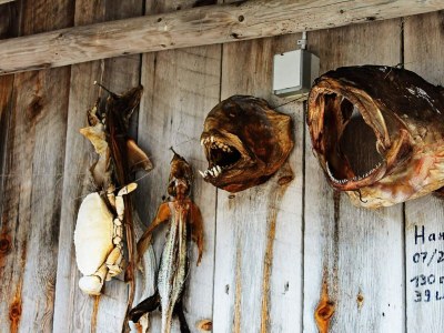 Holiday house 5 Personen Ferienhaus in VÅGLAND - Outdoor photo 34